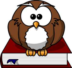 Learning owl